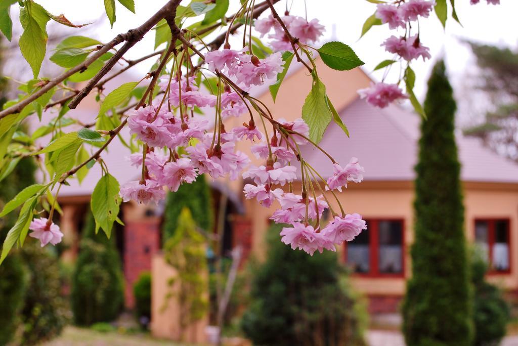 Aromatic Garden Villa La Poltrona Насу Екстериор снимка