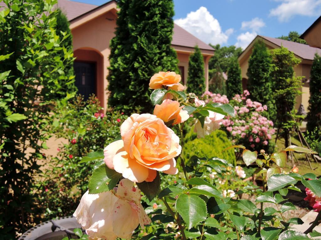 Aromatic Garden Villa La Poltrona Насу Екстериор снимка