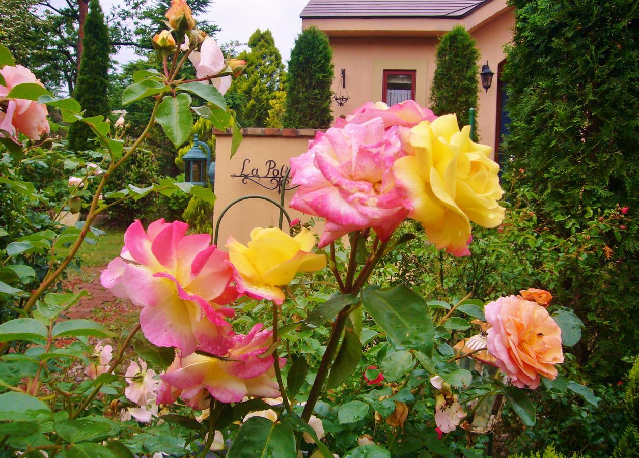 Aromatic Garden Villa La Poltrona Насу Екстериор снимка