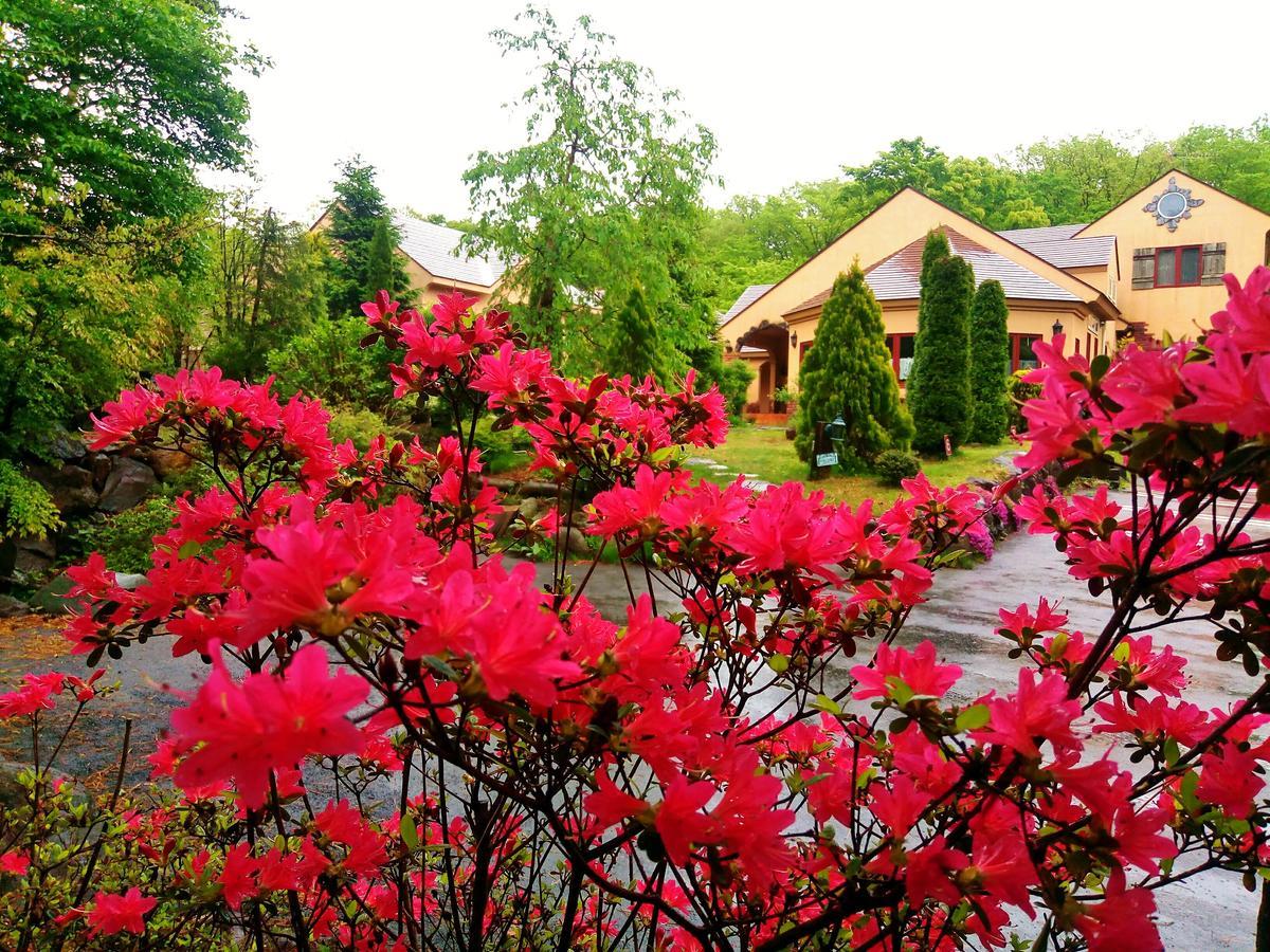 Aromatic Garden Villa La Poltrona Насу Екстериор снимка