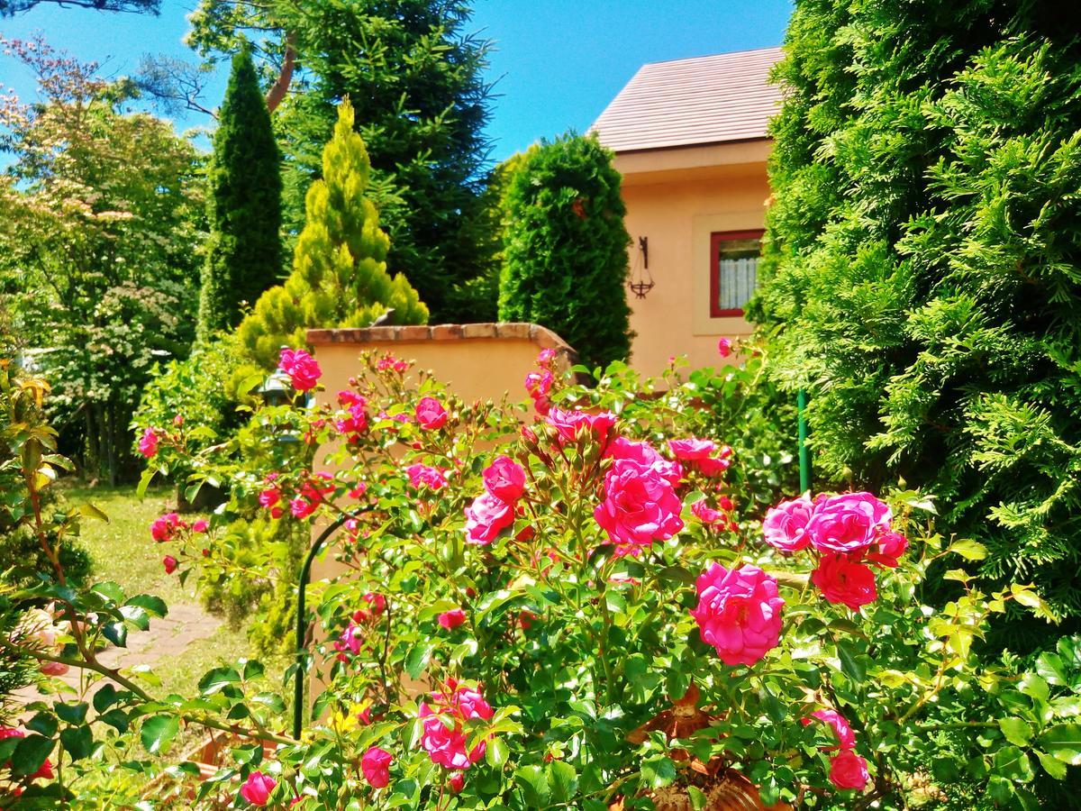 Aromatic Garden Villa La Poltrona Насу Екстериор снимка