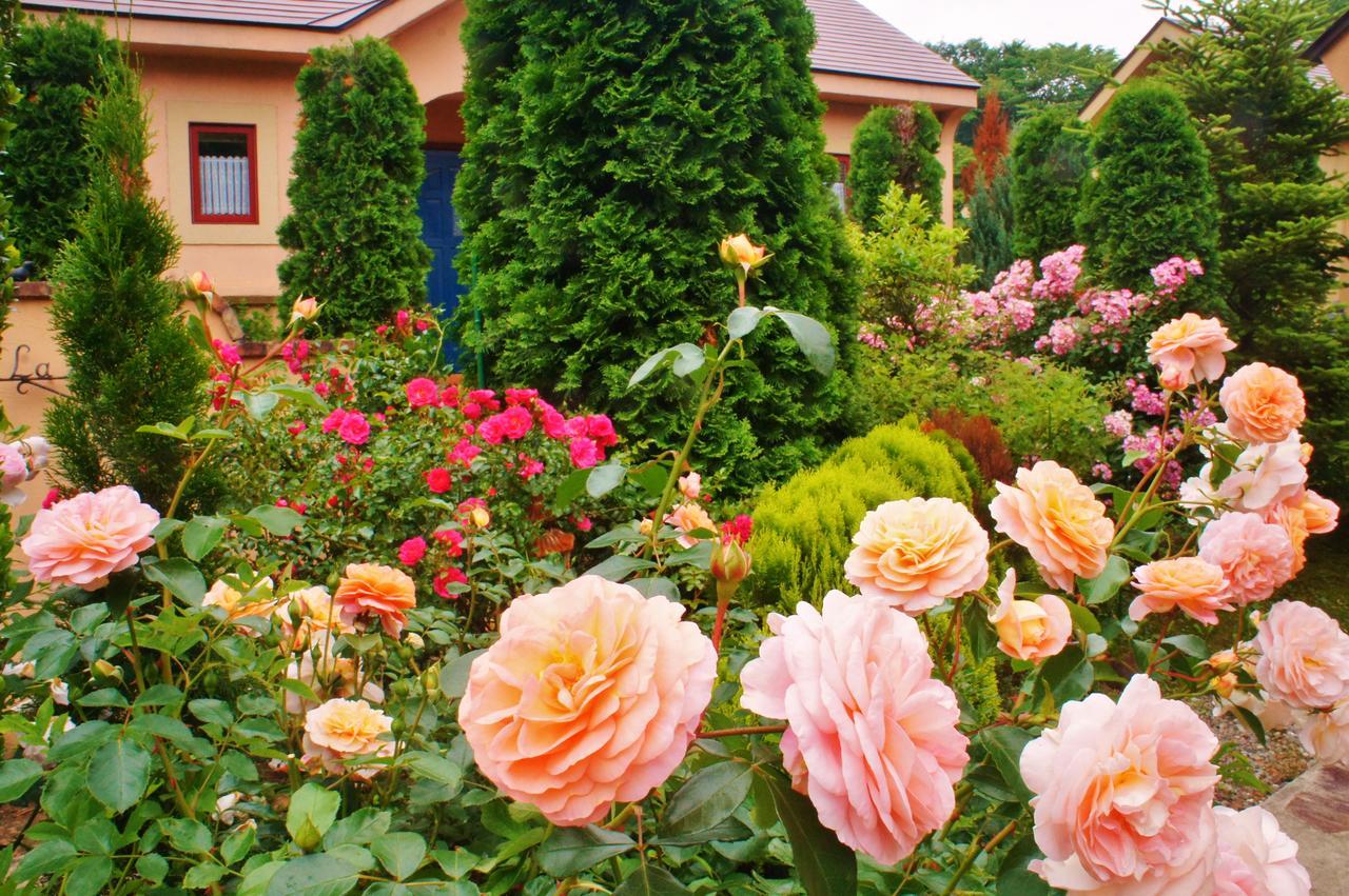 Aromatic Garden Villa La Poltrona Насу Екстериор снимка
